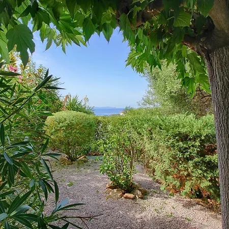 Apartment - Jardinet Prive - 5 Minutes Des Plages Sanguinaires - Ajaccio (Corsica)